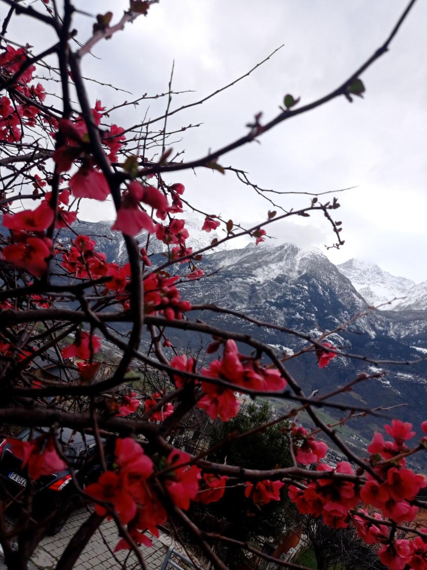 Lo Tsanty Casa Vacanza Aosta Dış mekan fotoğraf